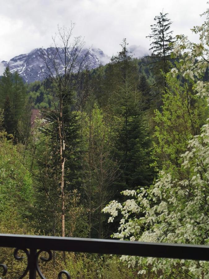 Apartamenty Villa Ski-Bowki Ζακοπάνε Εξωτερικό φωτογραφία